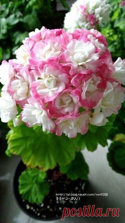 Полезно знать . Советы , Лайфаки . — Разное | OK.RU