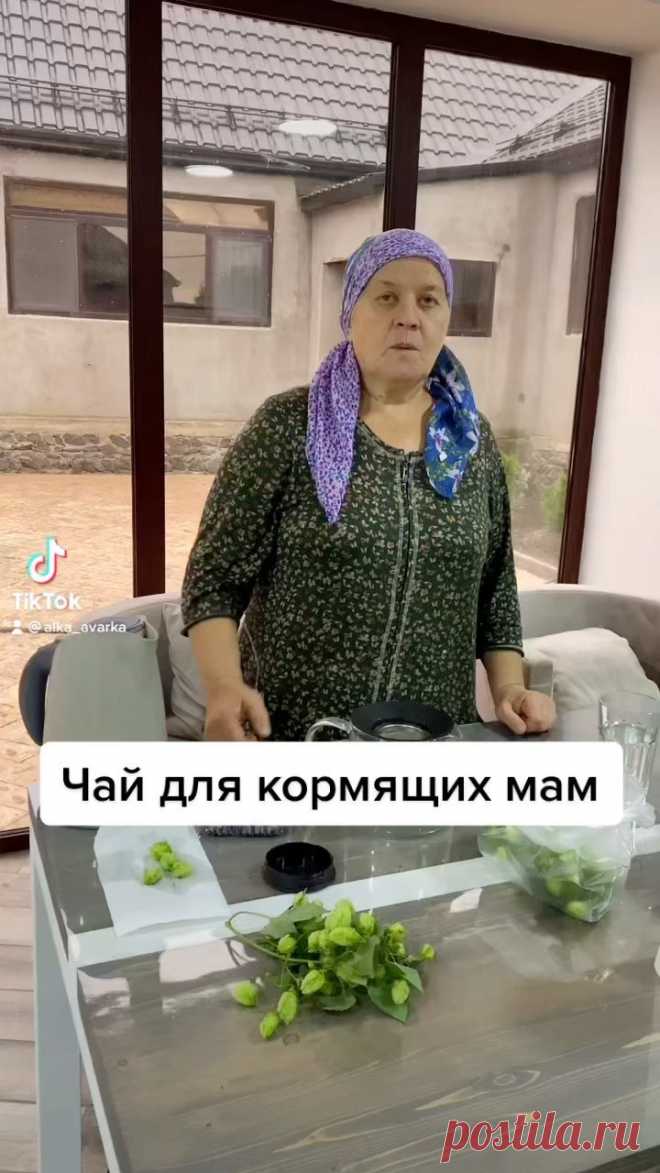 alka_avarka в Instagram: 