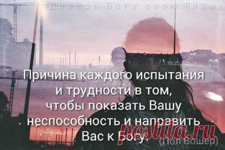 Владимир Терпугов
