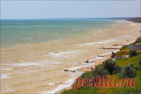 Фотопрогулки. Вдоль моря с чайками