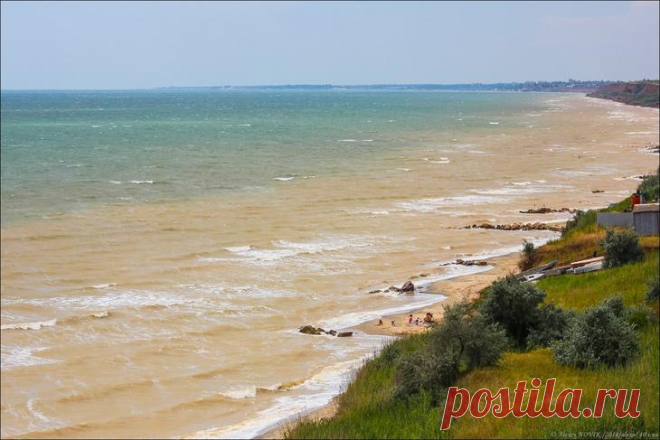 Фотопрогулки. Вдоль моря с чайками