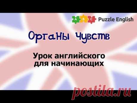 Органы чувств – Пазл Инглиш