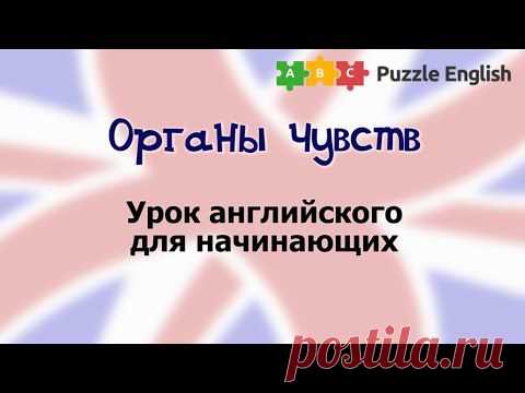 Органы чувств – Пазл Инглиш