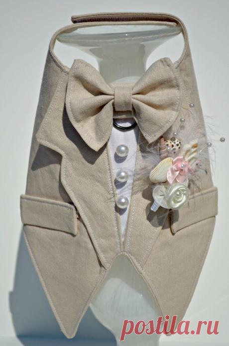 Tuxedo Linen Boy Dog Harness by KOCouture on Etsy but with Tardis blue and sunflower accents! Description from pinterest.com. I searched for this on bing.com/images