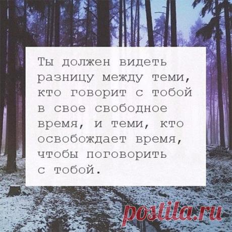 Цитата