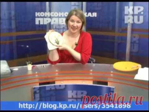 Тютелька в тютельку - Стебель нарцисса и его коленочка