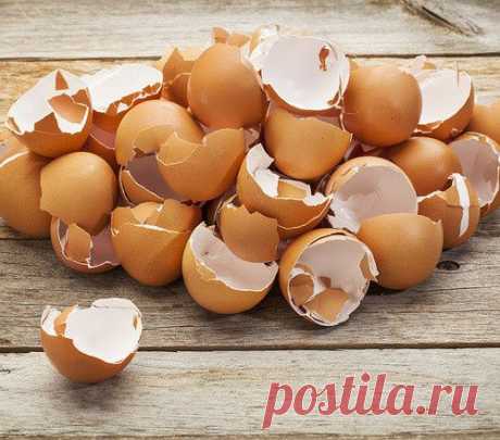 Лекарства из... продуктовых отходов