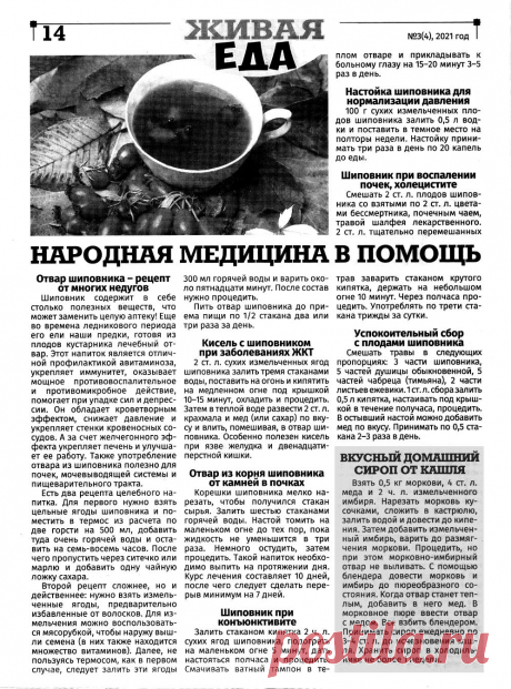 Шиповник - лечебные свойства