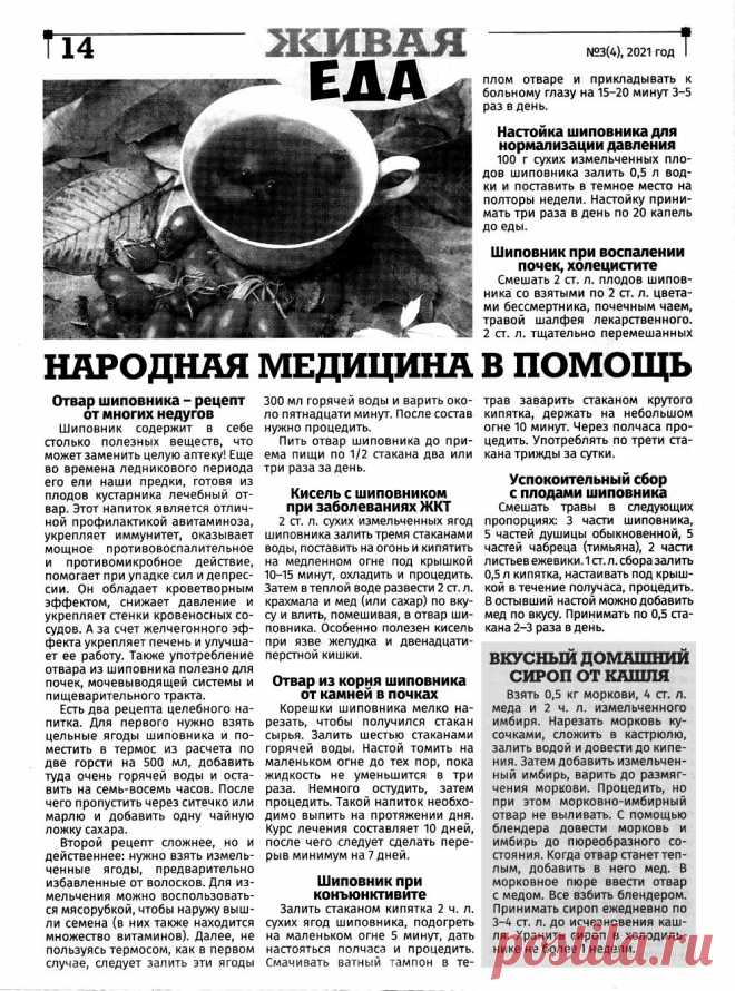 Шиповник - лечебные свойства