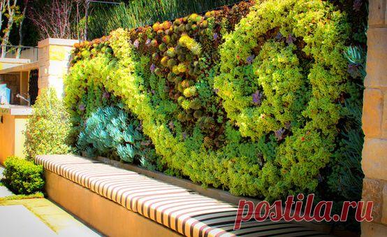 Нескучные границы: Как красиво отгородиться от посторонних