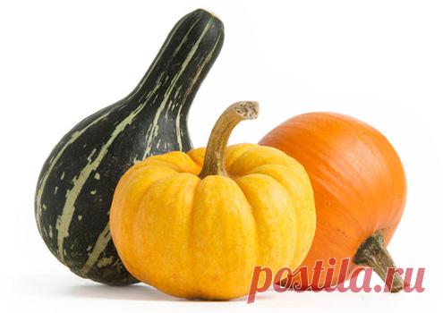 Сорта тыквы