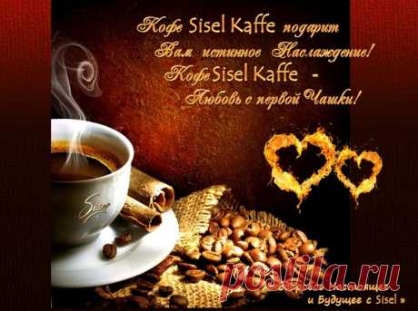 Продукты бренда Sisel Kaffé
Самый вкусный и полезный кофе в мире

Те, кто уже попробовал Sisel Kaffé, уверены: ни одна другая марка кофе не имеет столь глубокого вкуса и аромата, а полезные свойства Sisel Kaffé попросту не имеют аналогов. От традиционного мягкого черного обжаренного кофе до роскошного латте: ассортимент Sisel Kaffé способен удовлетворить требования даже самого взыскательного ценителя кофе.