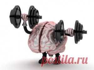 Умственные упражнения помогут поддержать мышцы в тонусе &laquo;  Будь Здоров