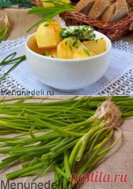Как заморозить зеленый лук - рецепт с пошаговыми фото / Меню недели