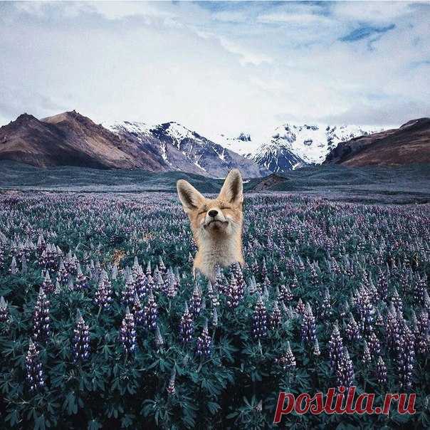 Фырк!