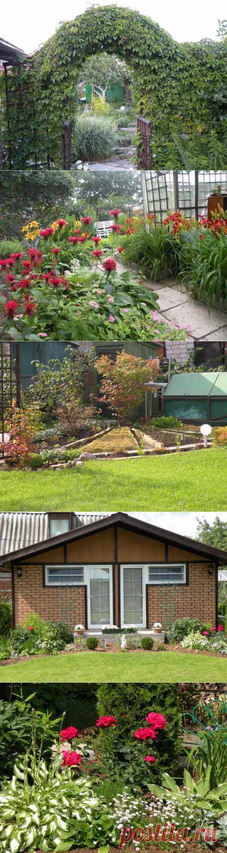 Новая жизнь старого сада.Несколько лет назад мама разрешила мне самостоятельно заниматься участком. Так появилась возможность попробовать сделать садик сообразно собственным представлениям о том, каким должно быть место для семейного отдыха. Я накупила кучу журналов по садоводству, составила план участка (с учётом уже имеющихся построек и того, что не подлежит пересадке) и медленно, шаг за шагом приступила к воплощению своего замысла.