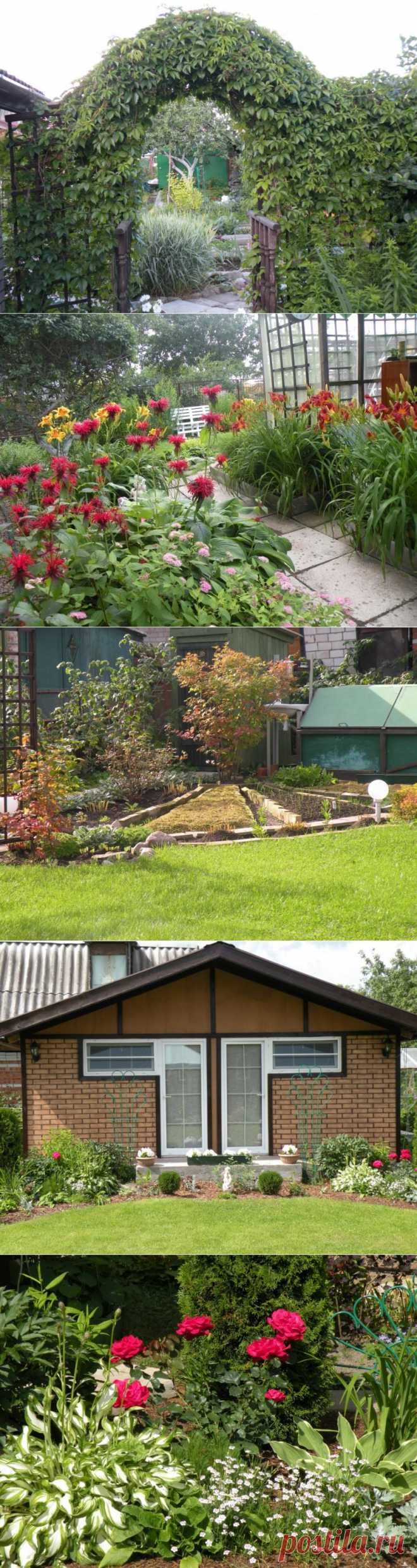 Новая жизнь старого сада.Несколько лет назад мама разрешила мне самостоятельно заниматься участком. Так появилась возможность попробовать сделать садик сообразно собственным представлениям о том, каким должно быть место для семейного отдыха. Я накупила кучу журналов по садоводству, составила план участка (с учётом уже имеющихся построек и того, что не подлежит пересадке) и медленно, шаг за шагом приступила к воплощению своего замысла.