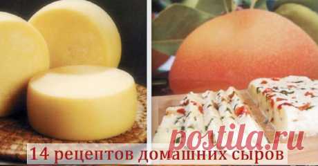 Вкусные сыры можно приготовить в домашних условиях. Лучшие 14 рецептов специально для вас! 1. Домашняя моцарелла    Ингредиенты    На 2 порции:     	1 л молока   	125 г натурального йогурта   	1,5 ч.л. соли (можно больше, кто как любит) получается не сильно солёная   	1 ст.л. уксусной эссенции (25%)    Приготовление     	Молоко с солью нагреть, но не