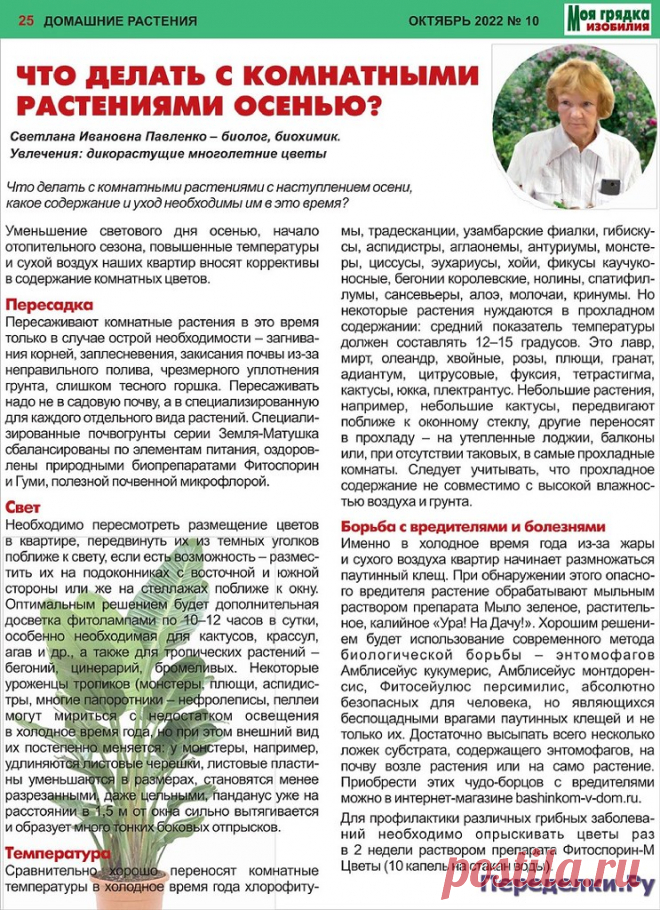 Моя грядка изобилия №10 2022 * Переделки.Ру Моя грядка изобилия №10 2022 Читать журнал ОНЛАЙН