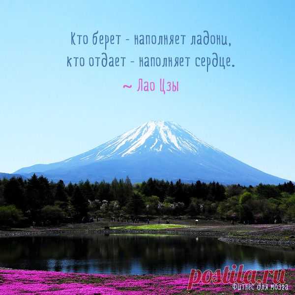 И что бы с вами ни случилось… – Фитнес для мозга