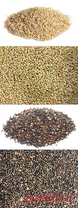 Киноа купить в Москве | Шеф Орех - интернет-магазин орехов и сухофруктов.