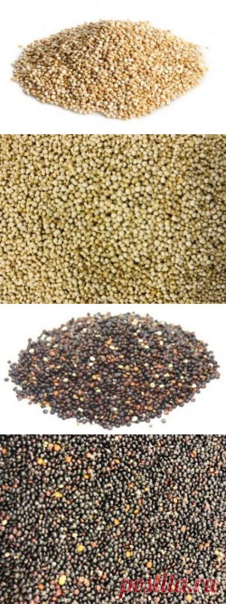 Киноа купить в Москве | Шеф Орех - интернет-магазин орехов и сухофруктов.