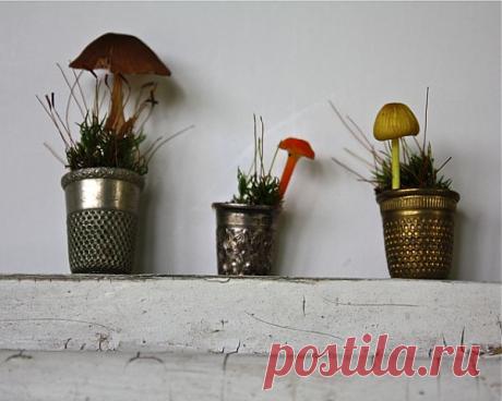 resurrection fern: Mushrooms in vintage thimbles