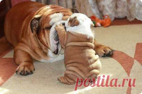 Редкие кадры