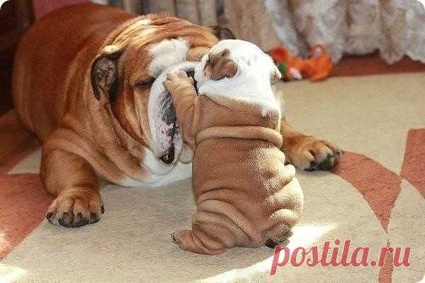 Редкие кадры