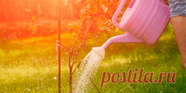 Как сад подготовить к зиме