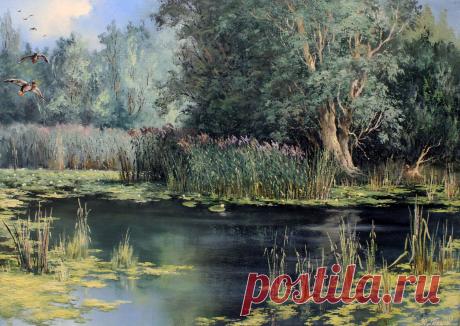 &quot;тихая заводь&quot; масло \ холст \ 50х70  авторская