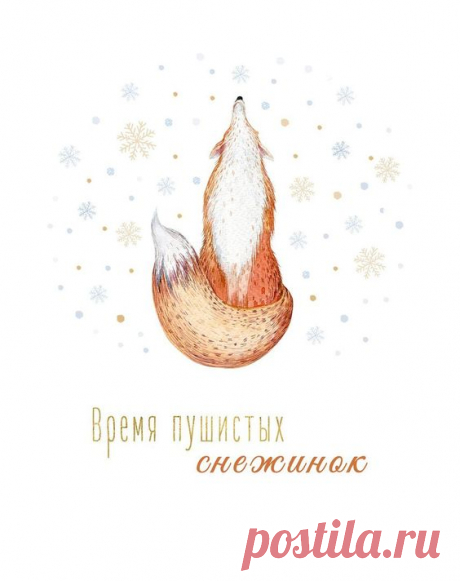 ЛИСЫ и те, кто их любит!