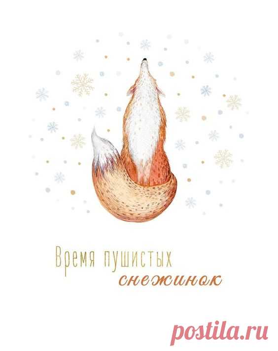 ЛИСЫ и те, кто их любит!