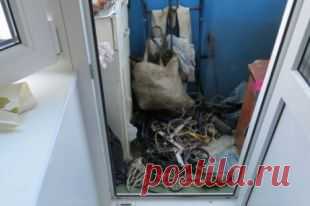 Накопление хлама – хобби или болезнь? | Будьте здоровы!