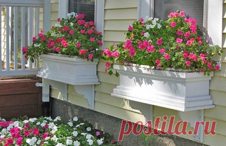 DIY Window Box Projects | The Budget Decorator