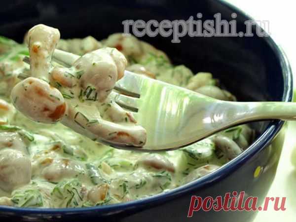Грибы жареные, в сметане | Кулинарные рецепты с фото на Рецептыши.ру