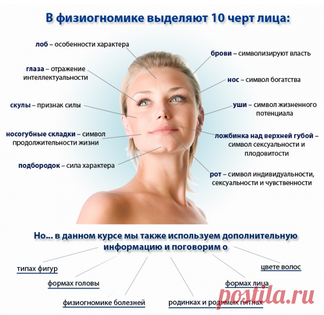 Можно ли определить характер человека по внешности и как это сделать | ESTET-PORTAL | Яндекс Дзен