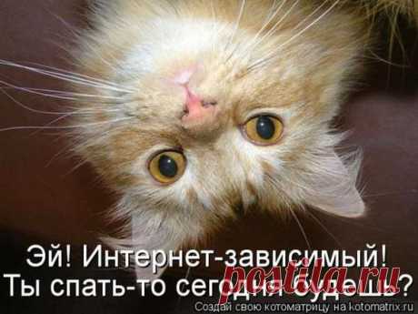 Вставать первыми. - С миру по нитке, а у меня блог.