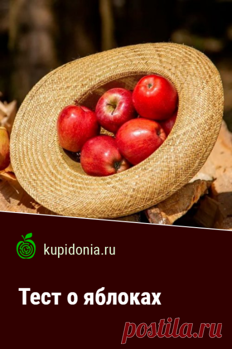 Тест о яблоках. Развлекательный тест о яблоках. Проверьте свои знания!
