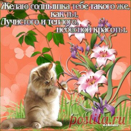 ♥ღ♥Открыточки - пожелания Gif ♥ღ♥
