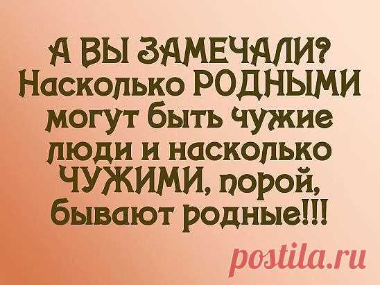 (1) Одноклассники