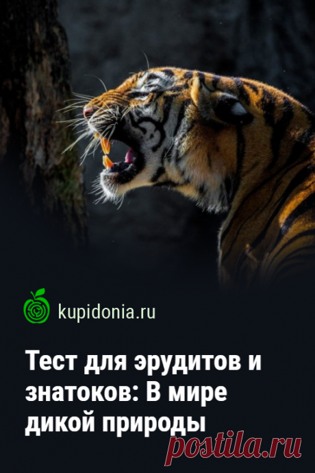 Тест для эрудитов и знатоков: В мире дикой природы. Познавательный тест про дикую природу, состоящий из 25 интересных вопросов разной сложности. Проверьте свои знания!
