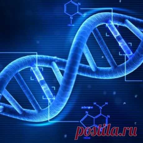 Союз самоисцеления · ♥ · Галактический Союз Сил Света