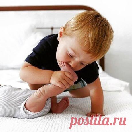 Вот она, братская любовь!
