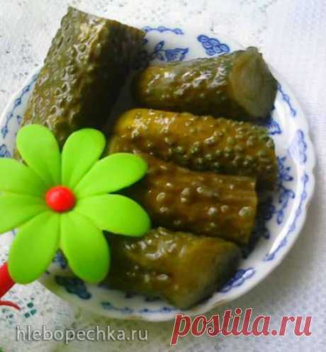 Огурцы малосольные суточные (без уксуса, наинатуральнейшие) - ХЛЕБОПЕЧКА.РУ - рецепты, отзывы, инструкции********
Ингредиенты

Огурцы свежие	1 кг
Укроп зонтиками	5-7 шт.
Листы хрена	3-5 шт.
Чеснок	5-7 зубков
Вишнёвые и смородиновые листья	по 4-5 шт.
Соль/вода	2 ст. л/1 литр