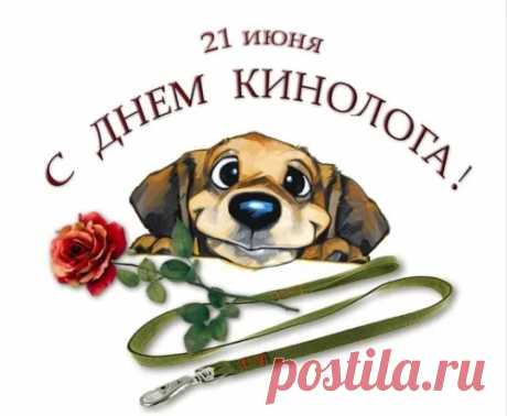 Кинологам желаем
Мы отличной службы,
Нет ничего надежней
Собачьей верной дружбы.