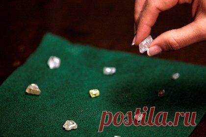 Объяснено происхождение месторождений алмазов. Ученые Университета Вуллонгонг в Австралии выяснили, что в большинстве случаев подъем алмазов из недр Земли к поверхности происходит в результате кимберлитовых извержений благодаря гигантским столбам тепла, исходящим с глубины 2900 километров, из слоя между ядром и мантией планеты.