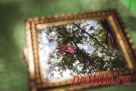 Сохранённые фотографии | 2 034 фотографии