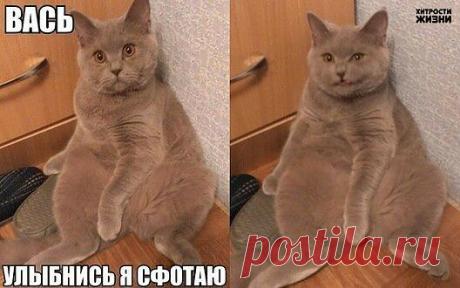 Мой Мир@Mail.Ru