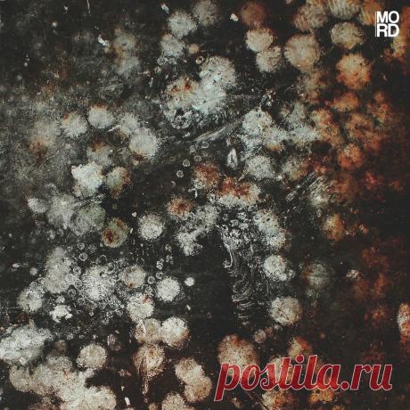 Chloe Lula - Ego Sum EP (2025) 320kbps / FLAC